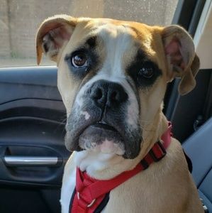 Meet your Posher, Kathryn